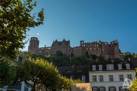 Heidelberg2016-09-07-0002